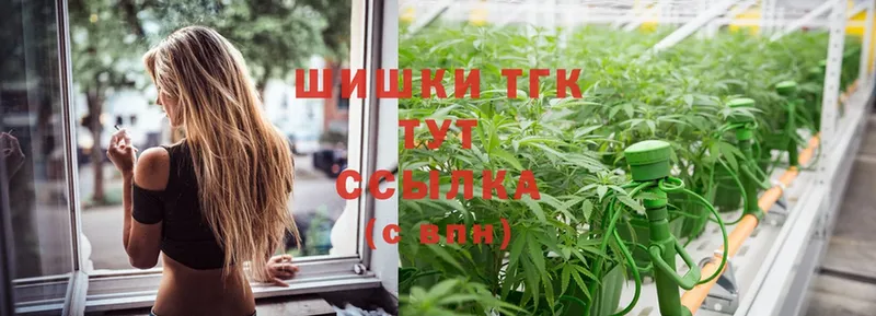 как найти   Боровск  Бошки марихуана OG Kush 